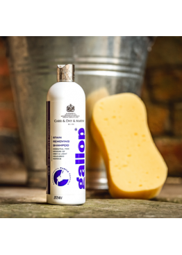 Шампунь-плямовивідник Gallop Stain Removing від Carr&Day&Martin