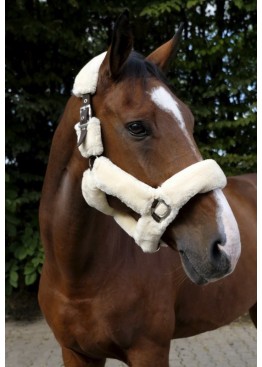 Недоусток “Teddy” - EQUITHÈME Недоусток “Teddy” - EQUITHÈME