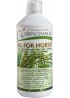 Масло “OIL FOR HORSES” - OFFICINALIS