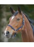 Недоусток "Little Horse" - Waldhausen