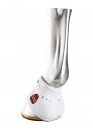 Дзвони "CARBON AIR HEEL" - Zandona